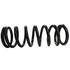 MOLA PISTAO ACIONADOR - TM2220/3020 39X51X120 (0428007)